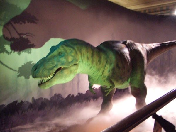 イギリス(英国)・ロンドン自然史博物館「Natural History Museum, London, UK」の写真