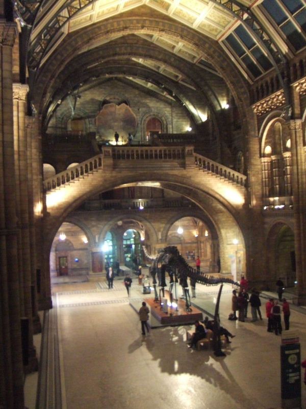 イギリス(英国)・ロンドン自然史博物館「Natural History Museum, London, UK」の写真