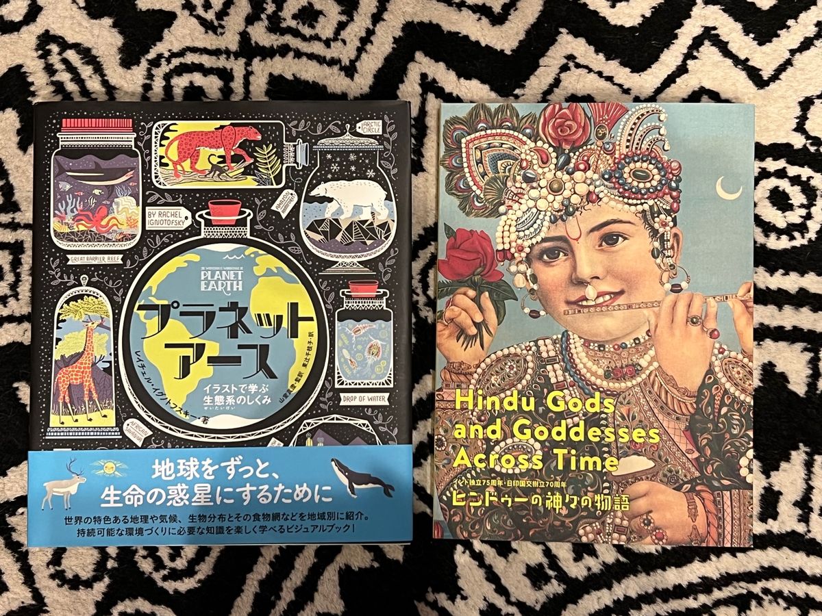 思った以上に面白くて
ついつい図録買ってしまった