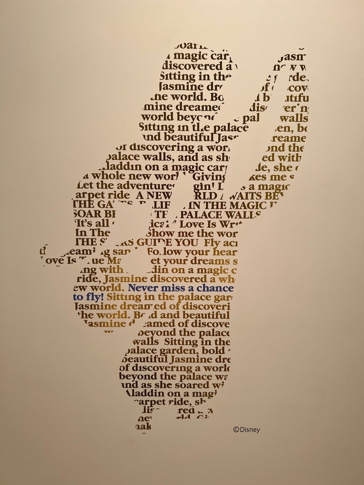 ディズニープリンセス展

プリンセス達のシルエット可愛い
それぞれのプリン...