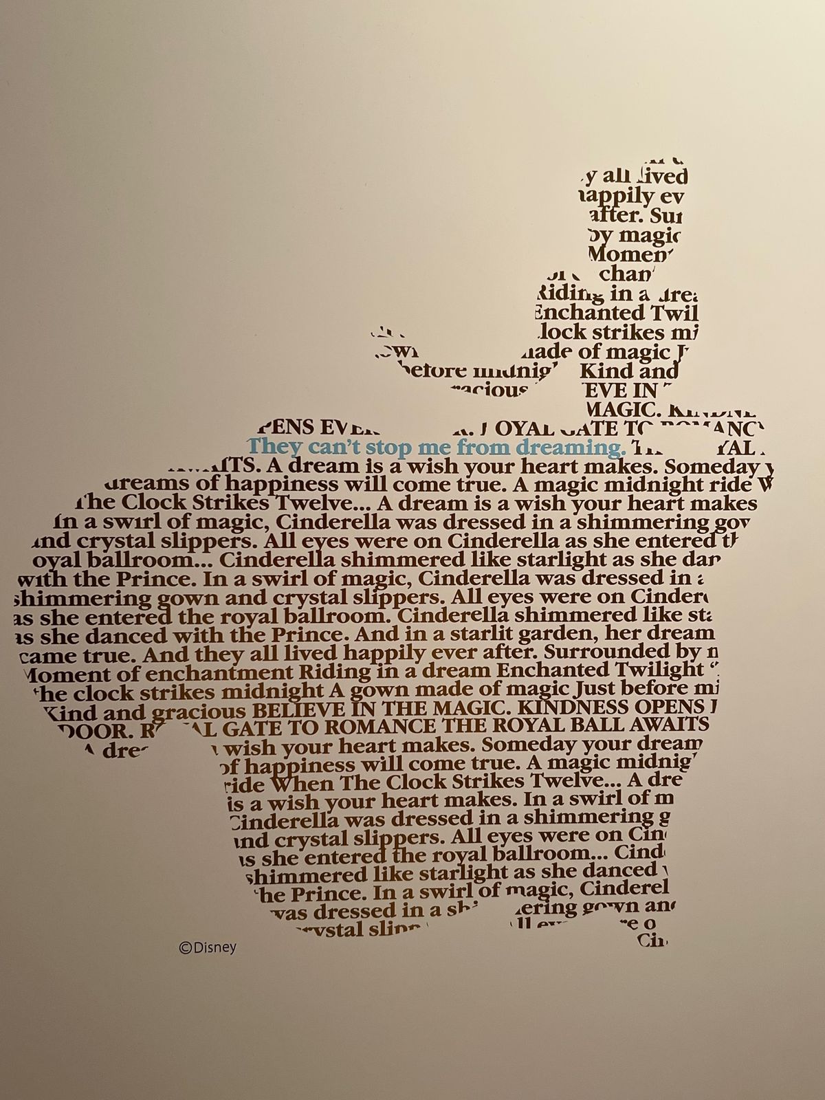 ディズニープリンセス展

プリンセス達のシルエット可愛い
それぞれのプリン...