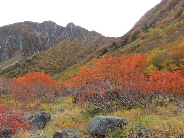 日本・長野県「[紅葉]涸沢カール/涸沢ヒュッテ」の写真