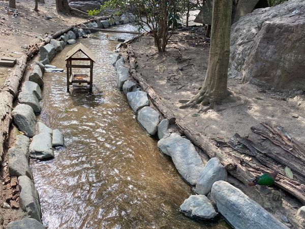 日本・埼玉県「キャンベルタウン野鳥の森」の写真