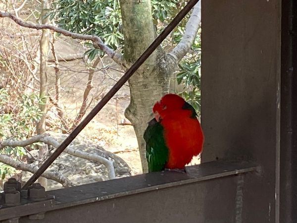 日本・埼玉県「キャンベルタウン野鳥の森」の写真