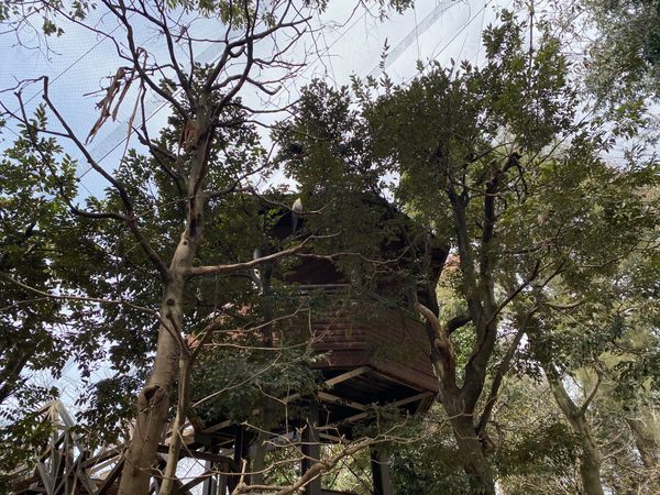 日本・埼玉県「キャンベルタウン野鳥の森」の写真