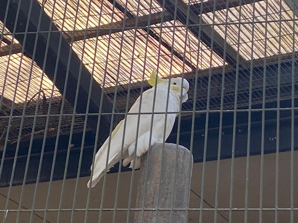 日本・埼玉県「キャンベルタウン野鳥の森」の写真