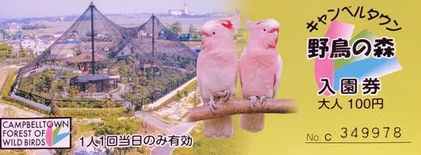 日本・埼玉県「キャンベルタウン野鳥の森」の写真