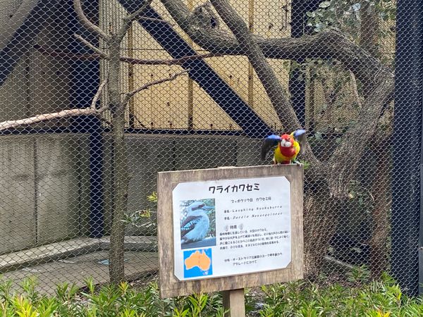 日本・埼玉県「キャンベルタウン野鳥の森」の写真