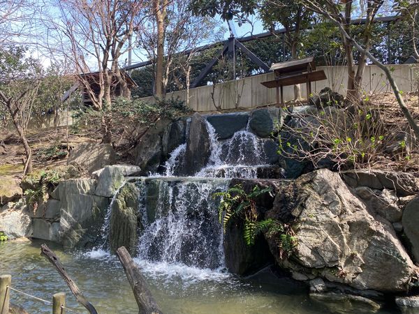 日本・埼玉県「キャンベルタウン野鳥の森」の写真