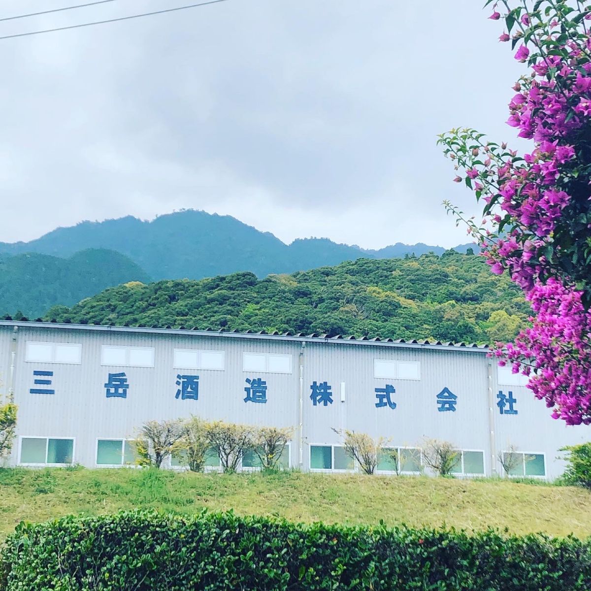 三岳酒造までドライブ。
その近くにある茶屋ひらのさんにて昼食。
からだに優...