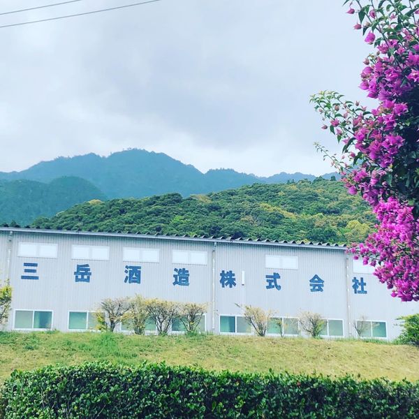 日本・鹿児島県「屋久島絶景の旅」の写真：三岳酒造までドライブ。
その近くにある茶...