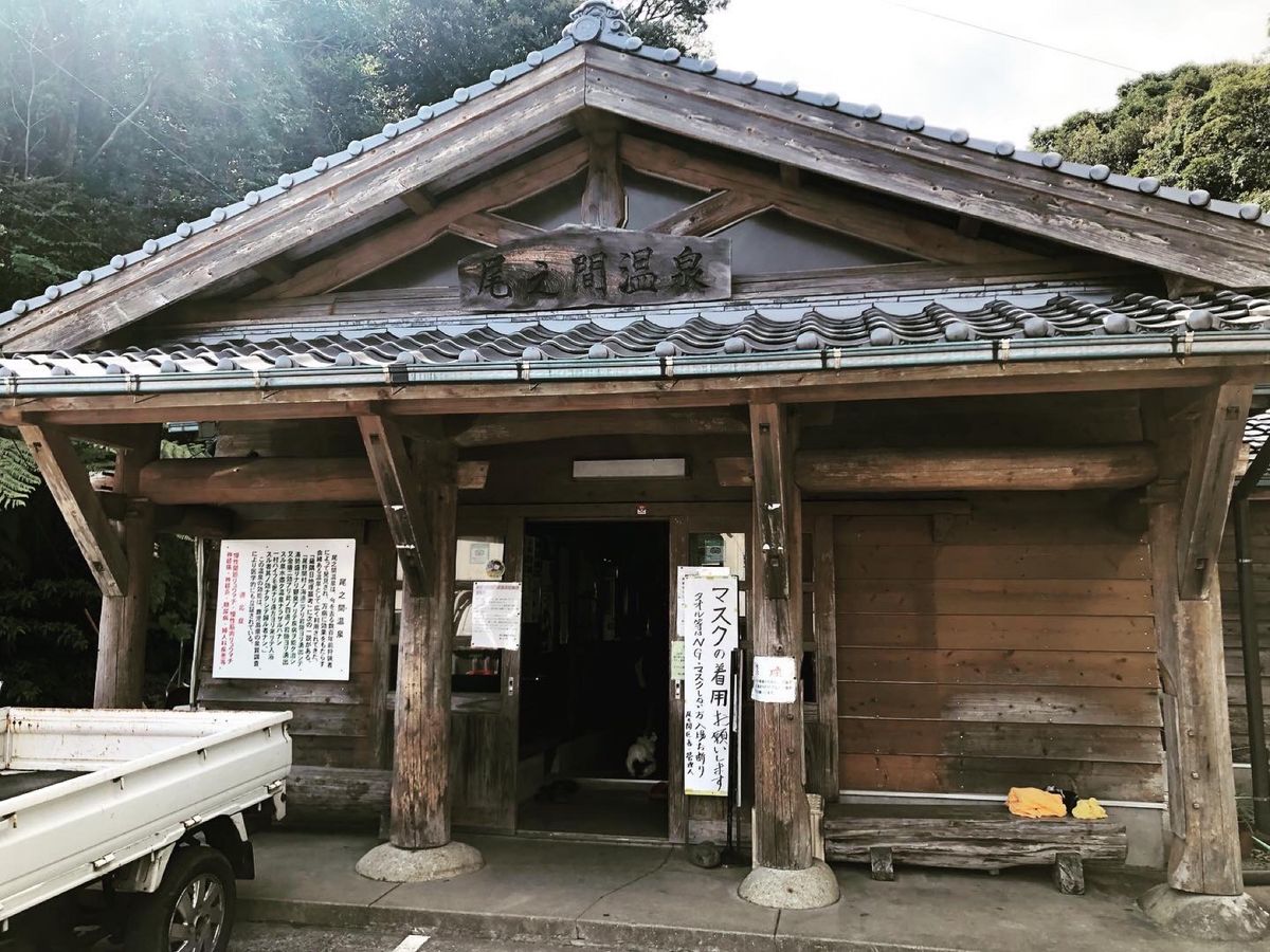 お腹いっぱいになったので、温泉に。
尾之間温泉。猫ちゃんも来ていました。
...