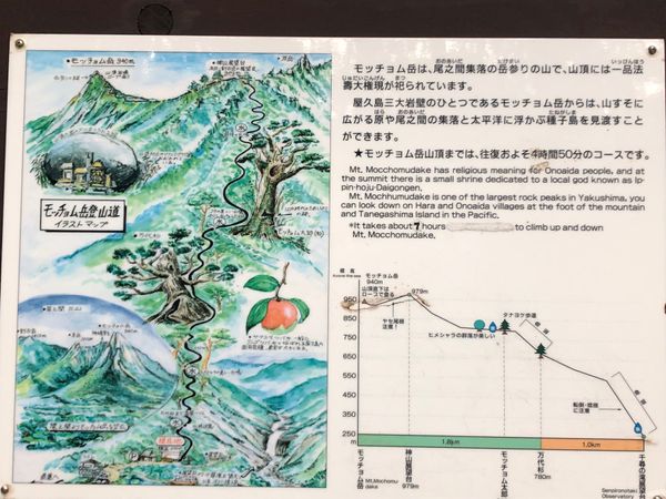 日本・鹿児島県「屋久島絶景の旅」の写真：次に来た時に歩いてみたい道。ふたつ。
一...