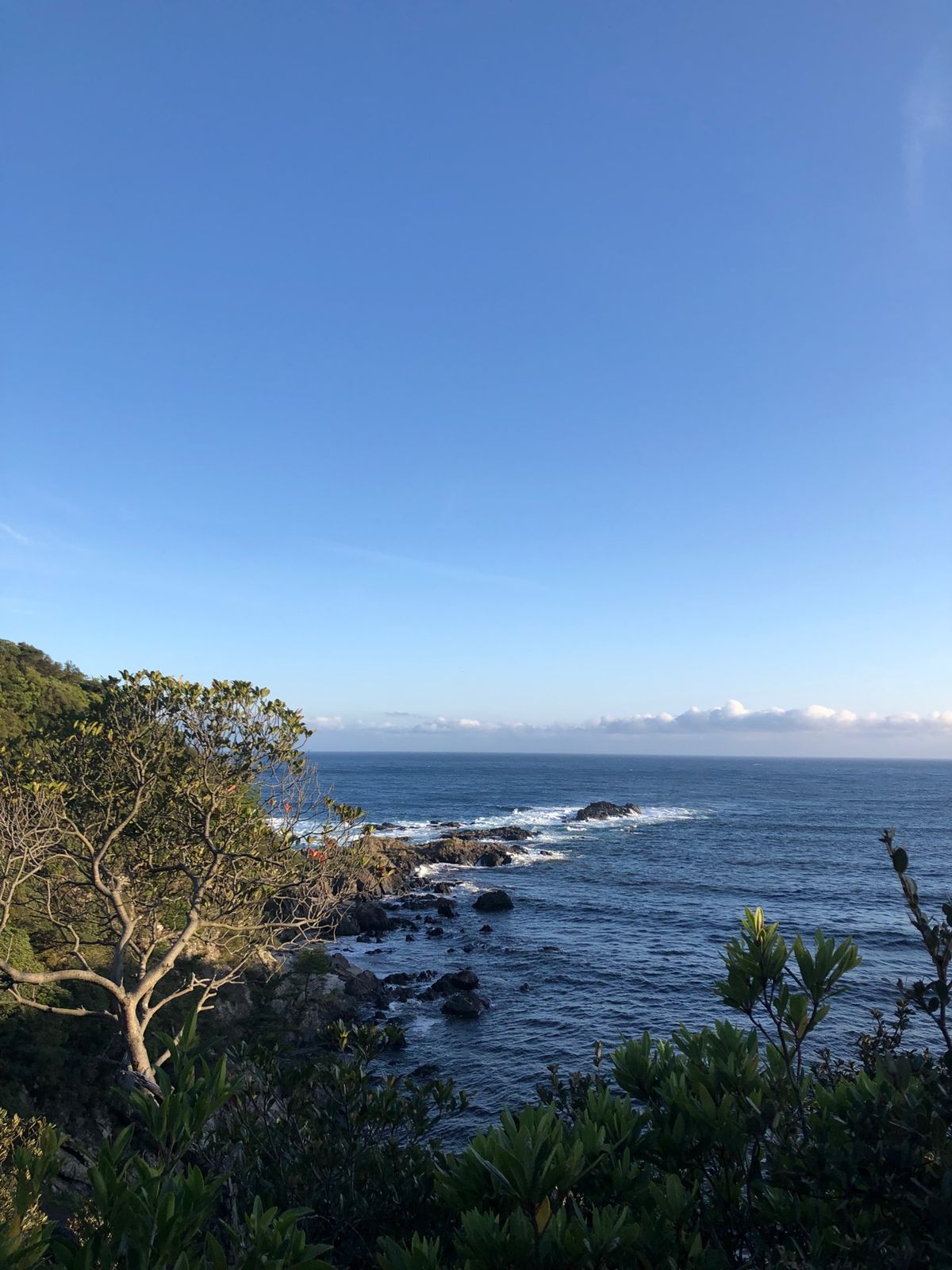 早速絶景。トローキの滝。凄すぎる。