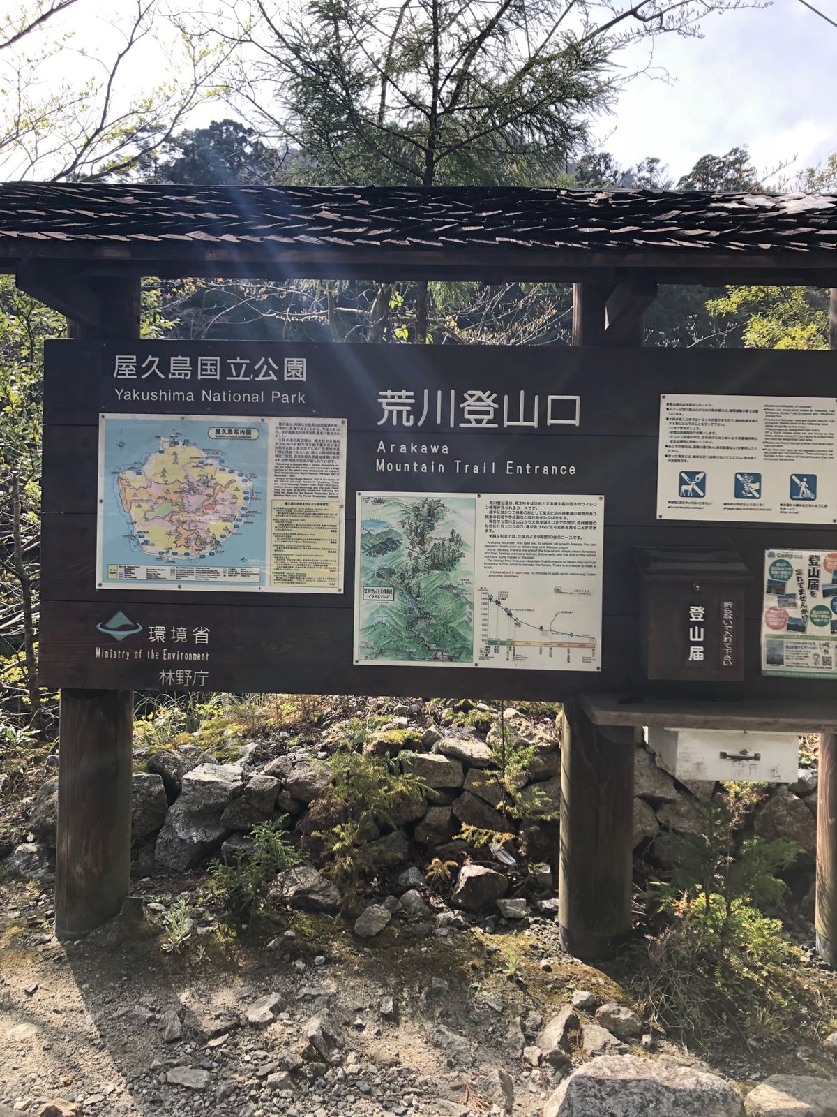 たくさんのトンネルを越えて縄文杉まで歩きました。