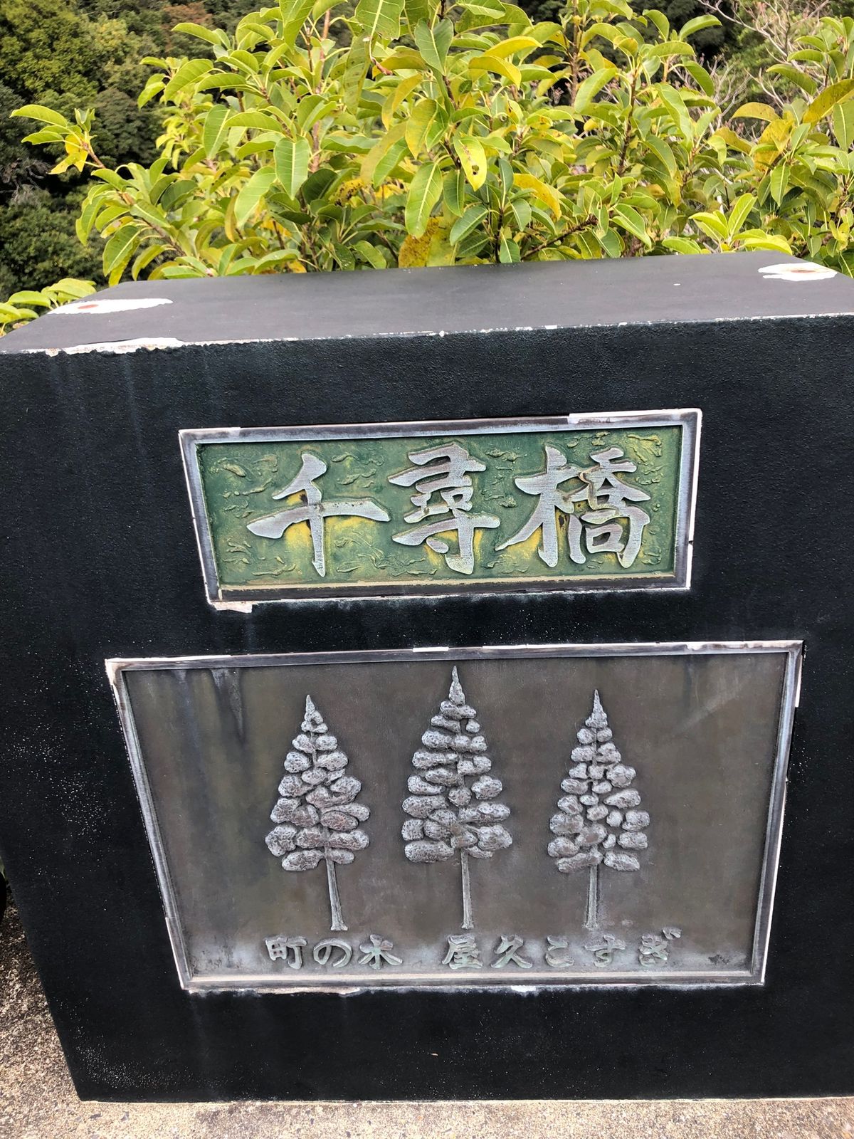 2022年3月20日
屋久島国定公園の龍神の滝です。
千尋橋から撮りました...