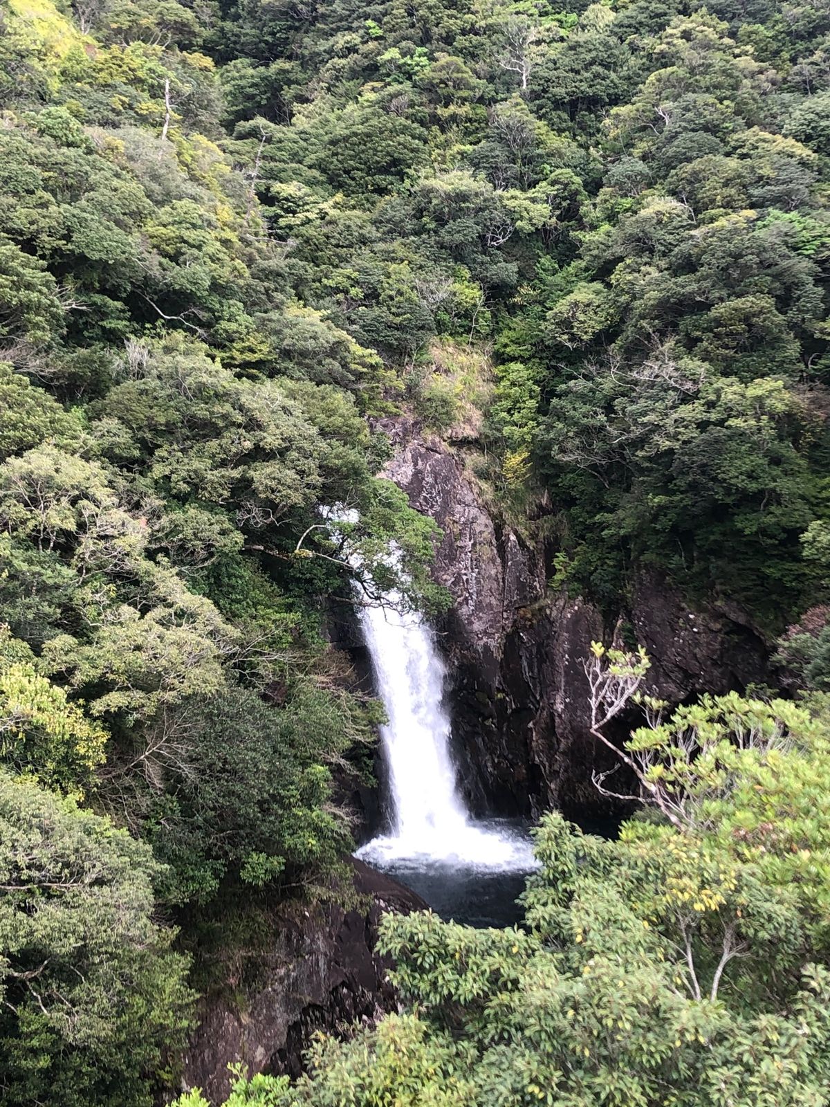 2022年3月20日
屋久島国定公園の龍神の滝です。
千尋橋から撮りました...
