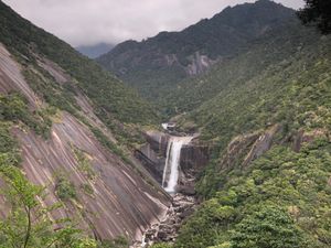 続いて、千尋の滝へ。雄大です。屋久島。