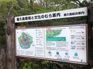 続いて、千尋の滝へ。雄大です。屋久島。