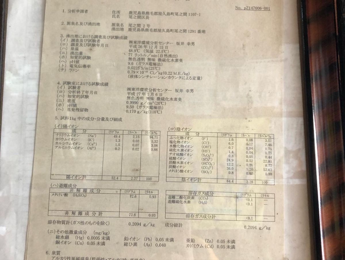 お腹いっぱいになったので、温泉に。
尾之間温泉。猫ちゃんも来ていました。
...