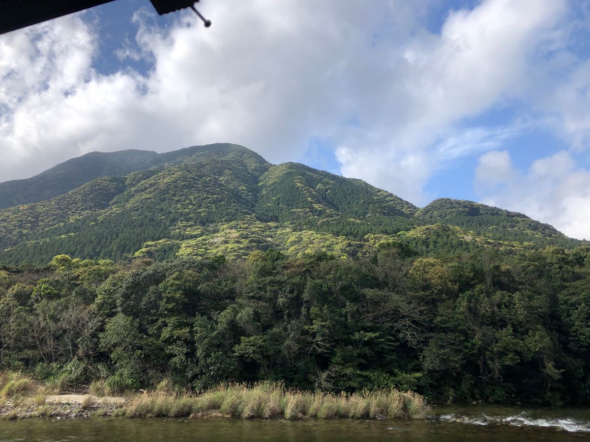 屋久島到着。天気も良くなり、さくらも咲いている🌸　