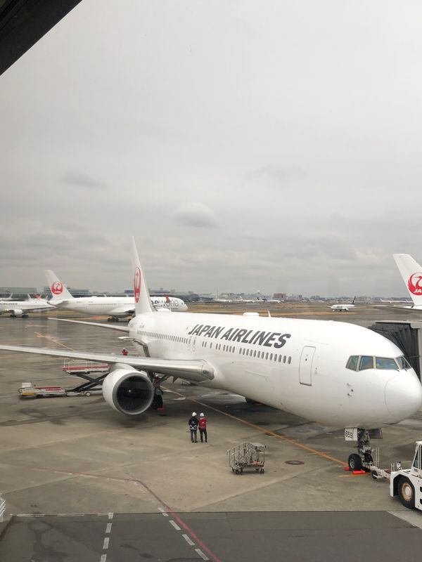 日本・鹿児島県「屋久島絶景の旅」の写真：３月18日金曜日　曇り
羽田より鹿児島に...