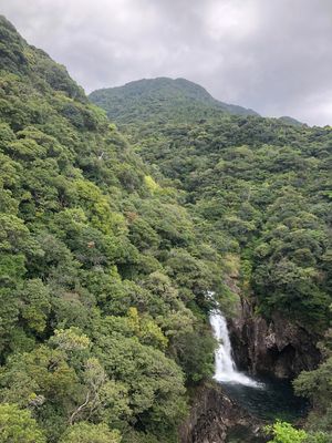 2022年3月20日
屋久島国定公園の龍神の滝です。
千尋橋から撮りました...
