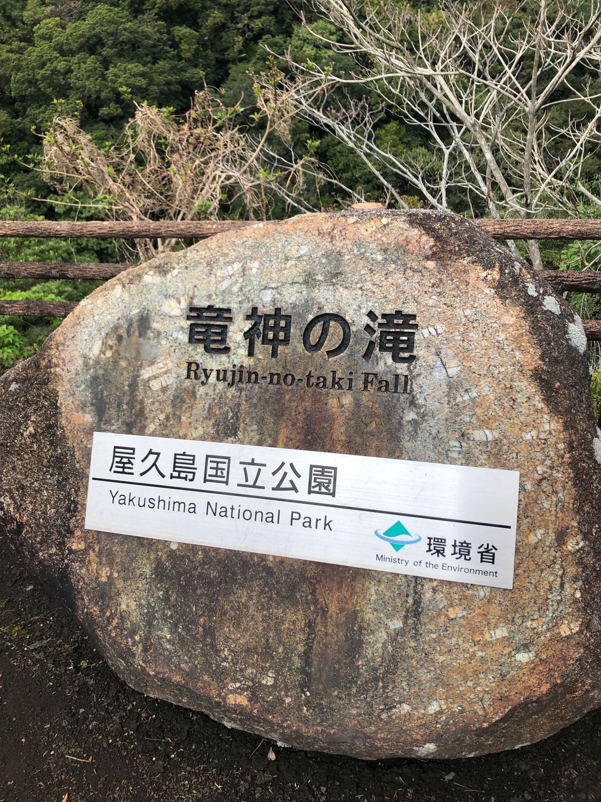 2022年3月20日
屋久島国定公園の龍神の滝です。
千尋橋から撮りました...