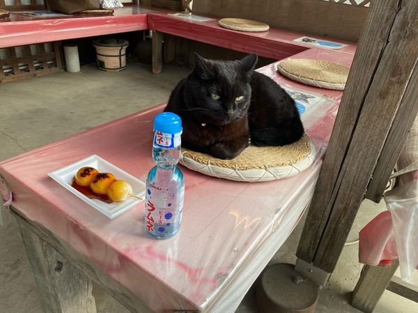 日本・東京都「越谷」の写真