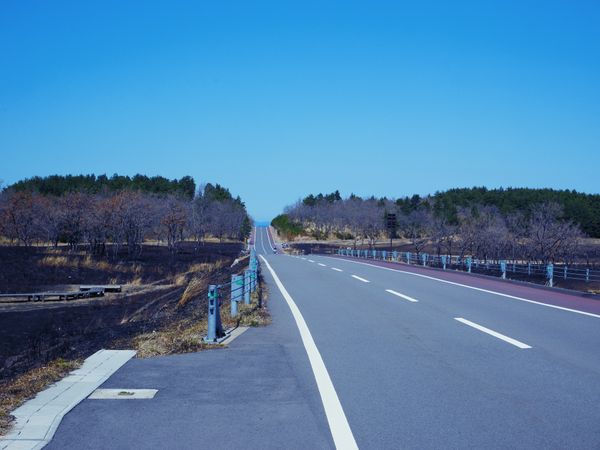 日本・別府温泉「九州 家族旅行」の写真