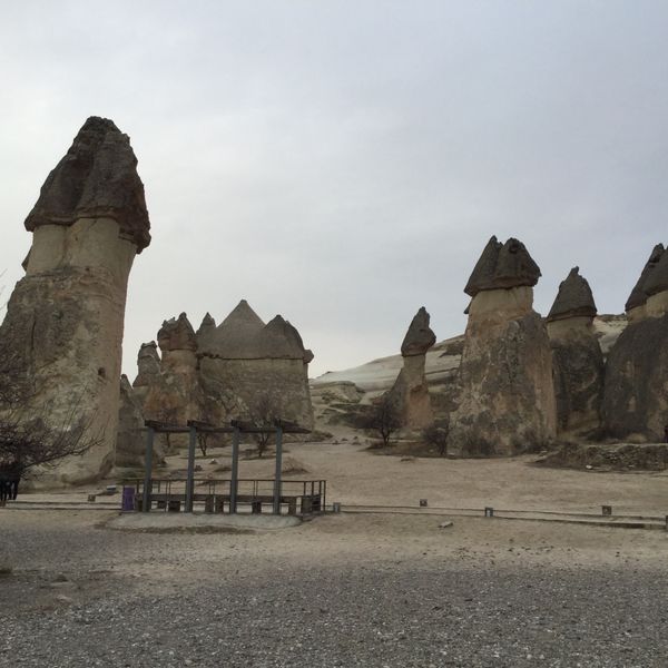 トルコ・イスタンブール「トルコ旅行」の写真