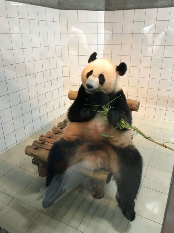 日本・南紀白浜「南紀白浜」の写真