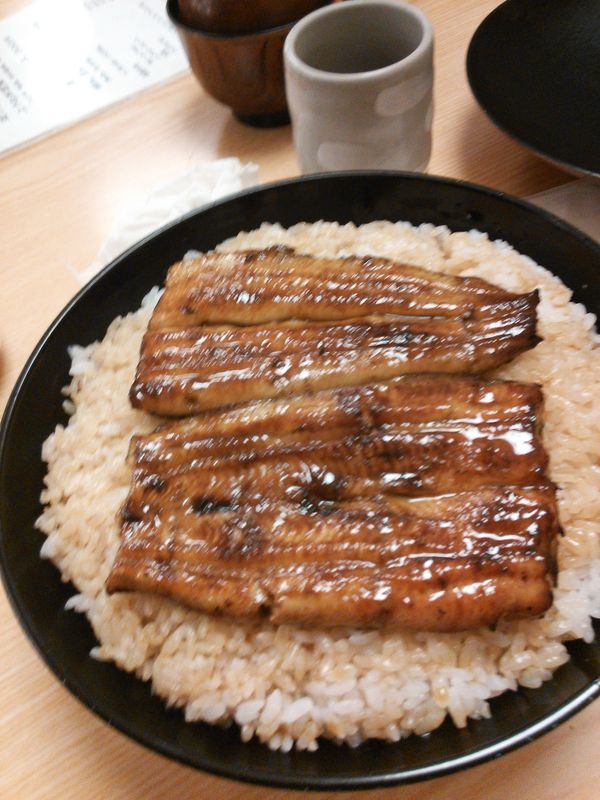 日本・熱海「熱川　熱海」の写真
