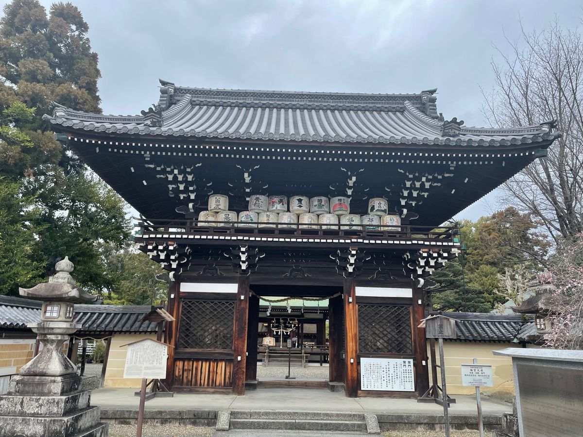 京都の梅の名所の一つ梅宮大社へ。残念ながらピークを過ぎていましたが遅咲きの...