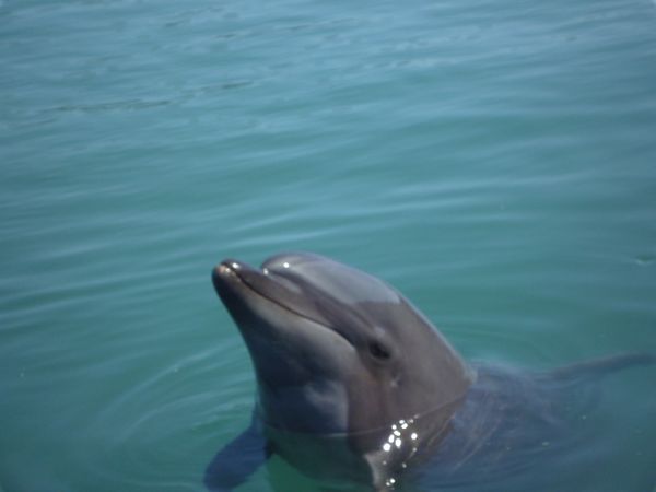 日本・道後温泉「高知　愛媛」の写真