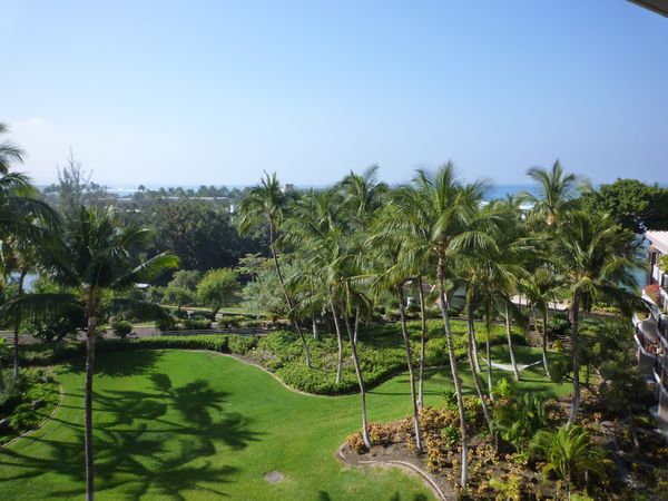 アメリカ(米国)・ハワイ「ハワイ島」の写真