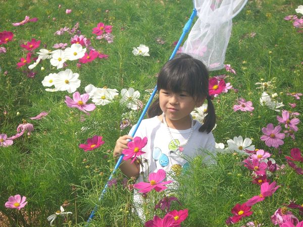 日本・広島県「広島　三好町」の写真
