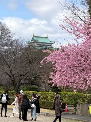 名古屋駅周辺や名古屋城周辺は
天気も良く連休中なのか、
外出されている人は...