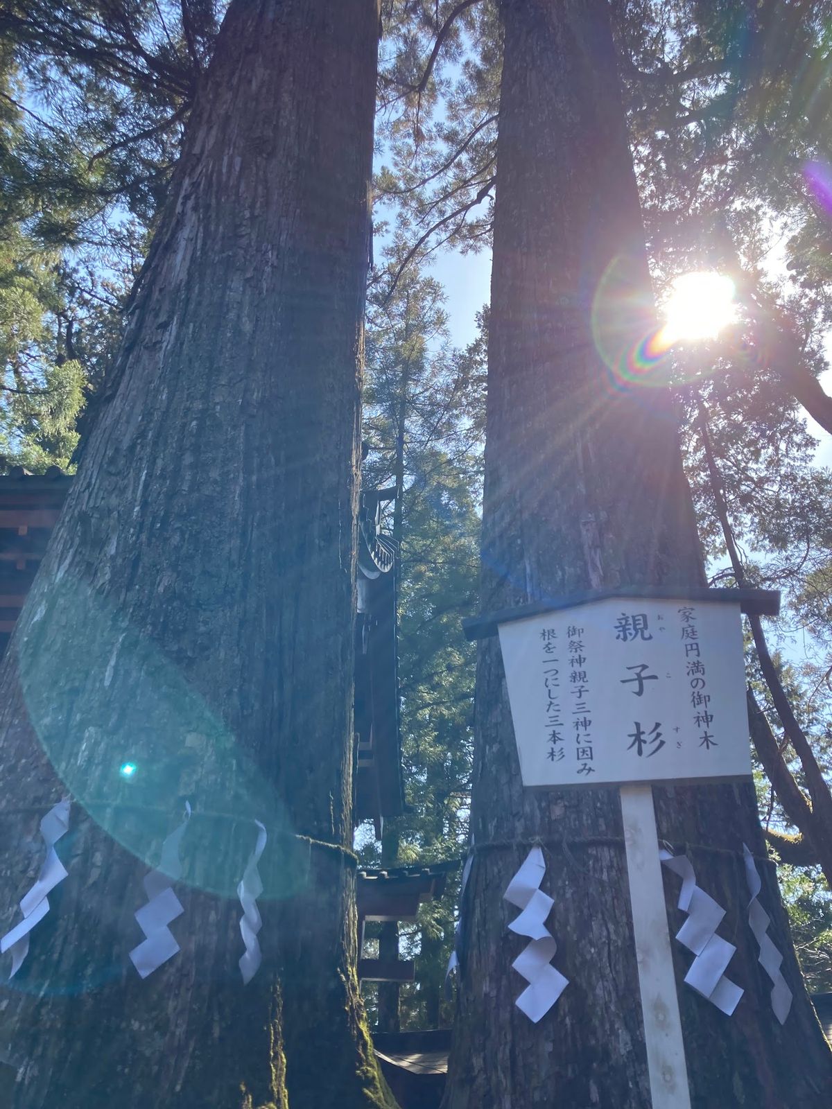 奥日光から日光市街へ。
二荒山神社。
様々なご縁を繋いでいただけるとのこと...