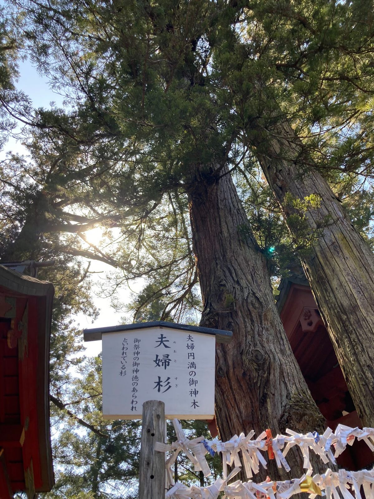 奥日光から日光市街へ。
二荒山神社。
様々なご縁を繋いでいただけるとのこと...