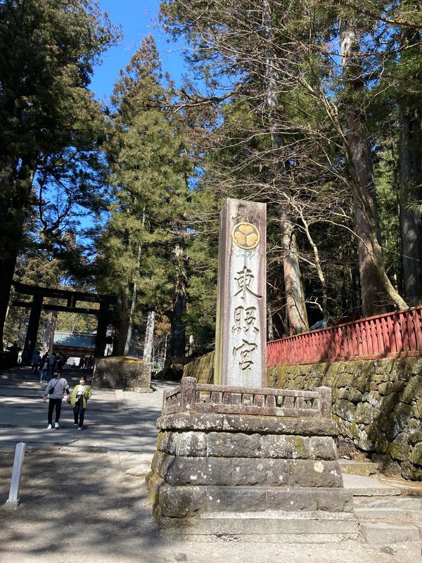 日本・長野県「戸隠・喜多方・会津若松・日光の旅」の写真：東照宮。
ここまで来ると俗世感満載。
至...