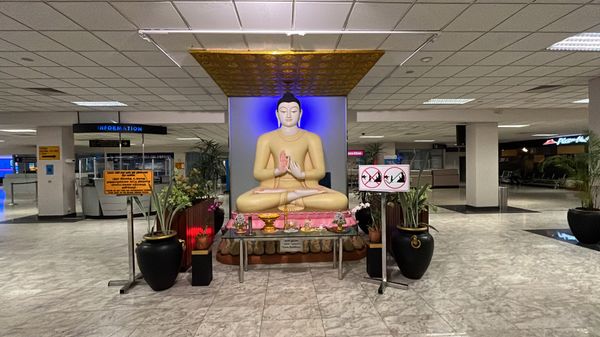 スリランカ・ニゴンボ「スリランカ」の写真