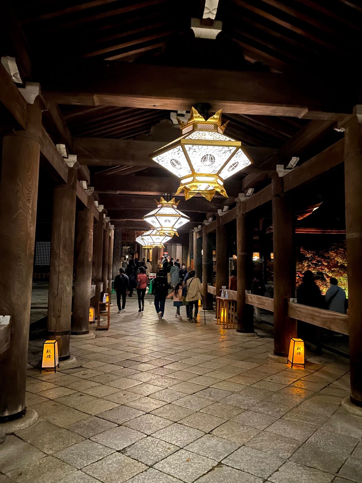 清水寺　紅葉2020