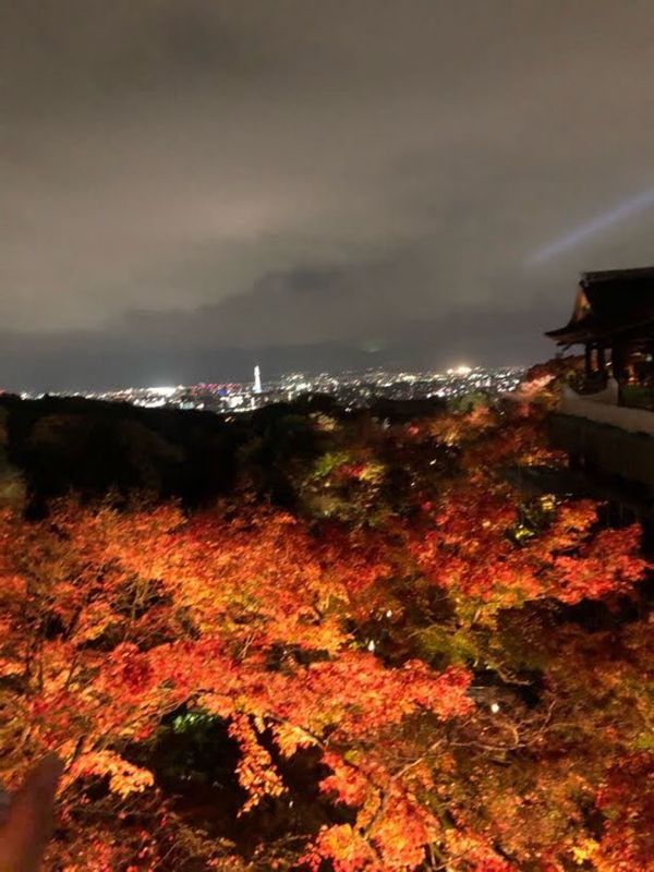 「京都紅葉2020」の写真：清水寺　紅葉2020