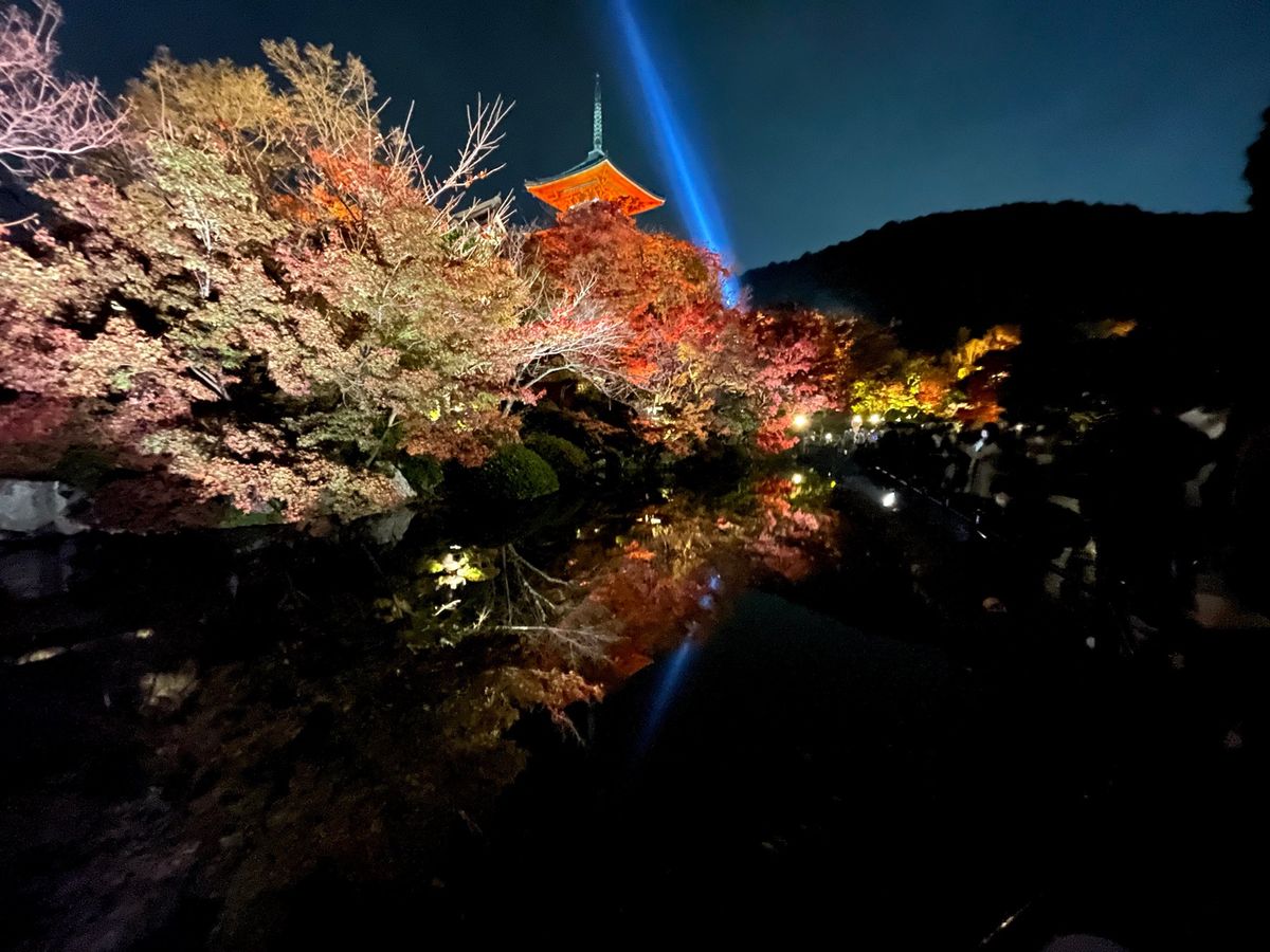 清水寺　紅葉2020