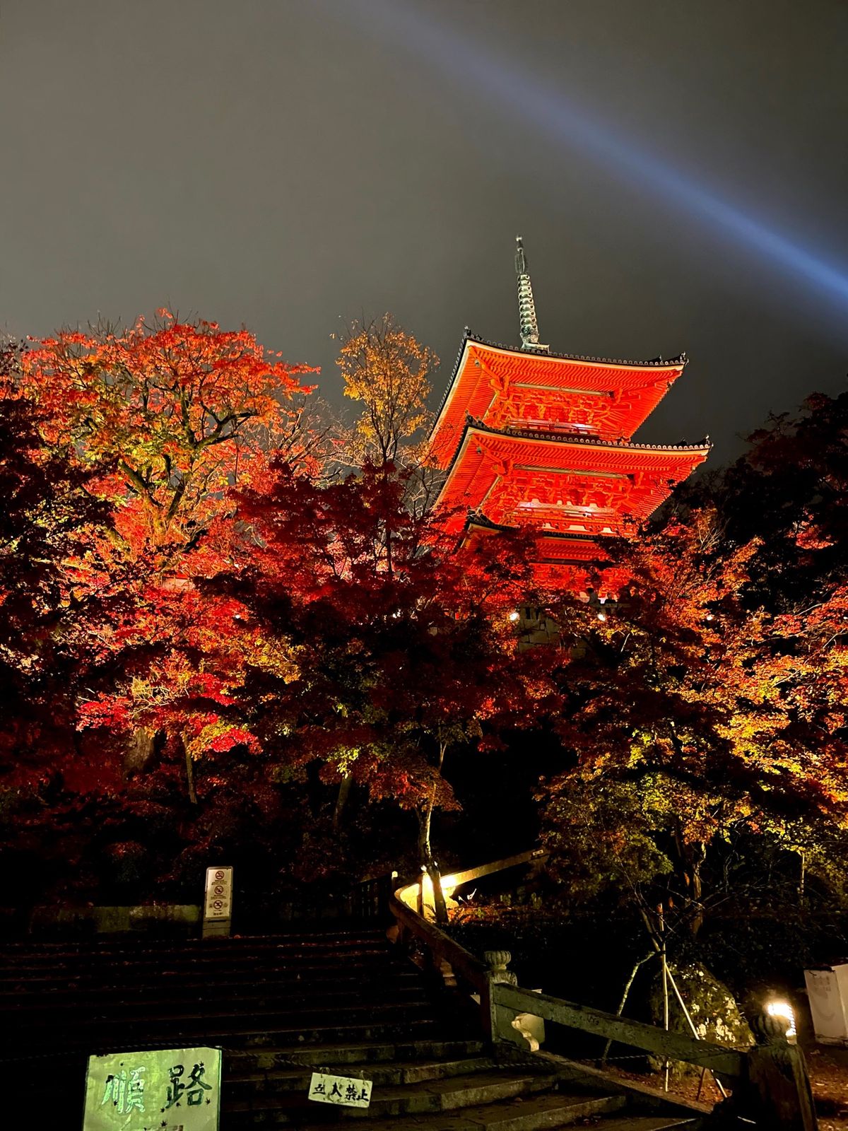 清水寺　紅葉2020