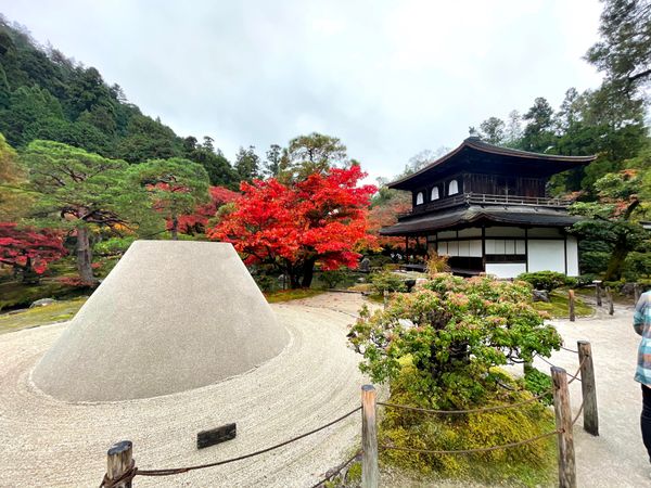 「京都紅葉2020」の写真：銀閣寺　紅葉2021