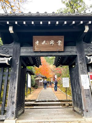 常寂光寺　紅葉2020