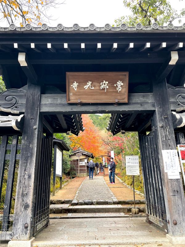 「京都紅葉2020」の写真：常寂光寺　紅葉2020