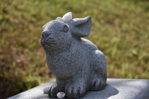 日本・鳥取県「鳥取　白兎海岸　日帰り」の写真